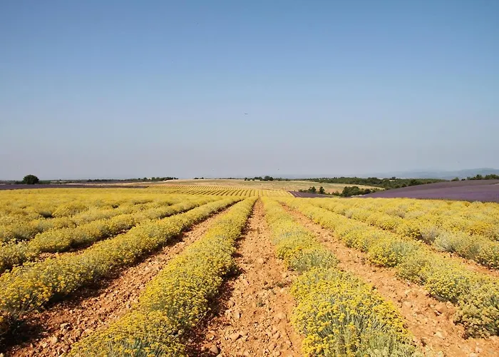 La Provencale