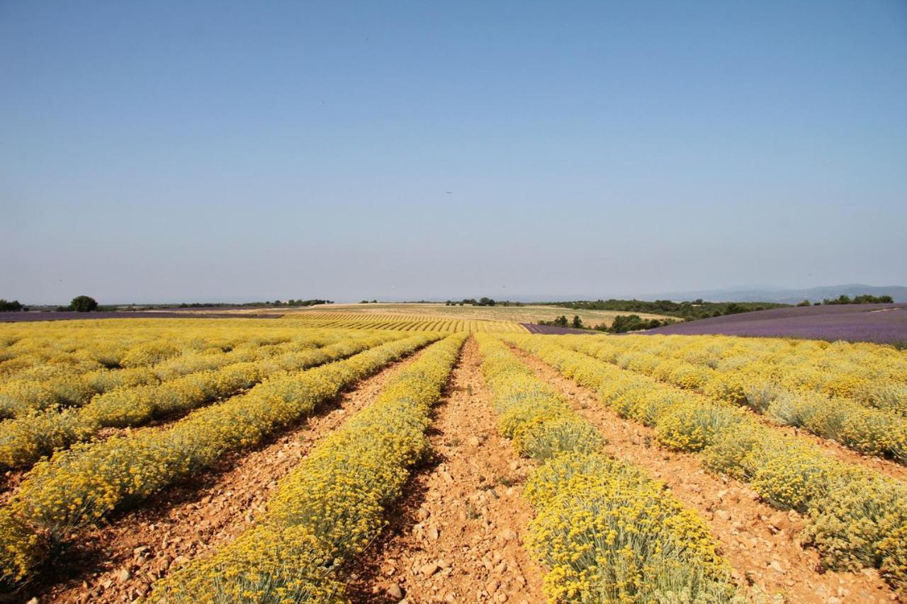La Provencale Valensole